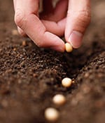 Product Traceability