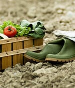 Sustainability